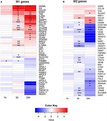 Granulocyte-Derived Extracellular Vesicles Activate Monocytes and Are Associated With Mortality in Intensive Care Unit Patients